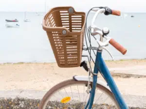 spedizione bici